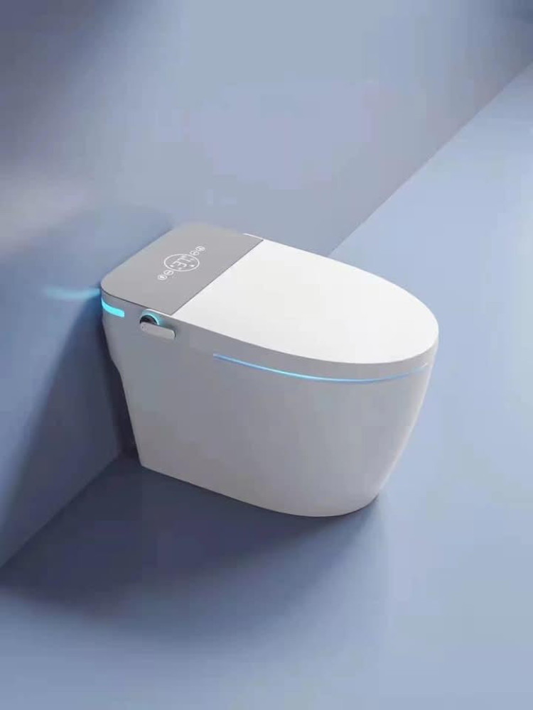 Back-to-Wall Water Closet