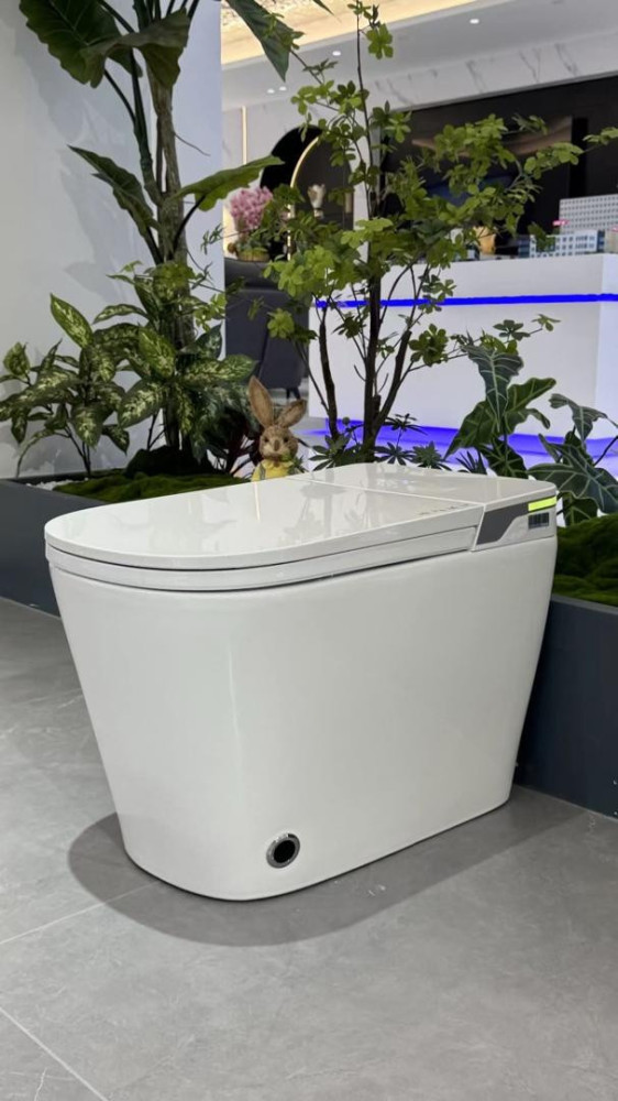 Rimless Water Closet