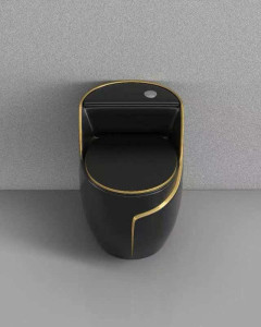 Floor-Mounted Water Closet