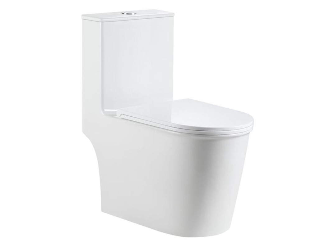 Designer Water Closet