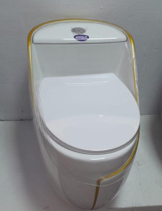 Dual-Flush Water Closet