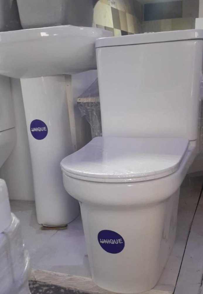 Dual-Flush Water Closet