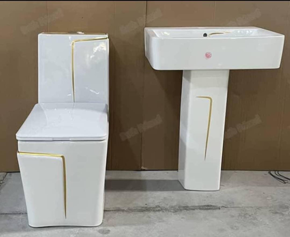 Dual-Flush Water Closet