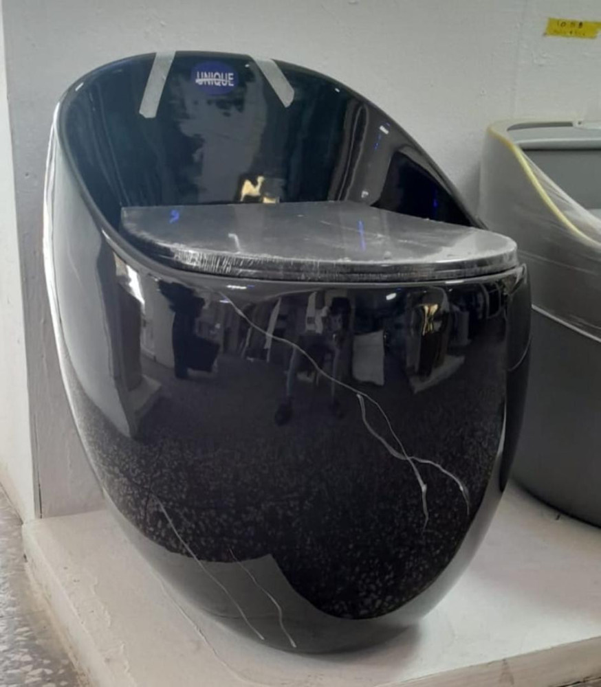 Dual-Flush Water Closet