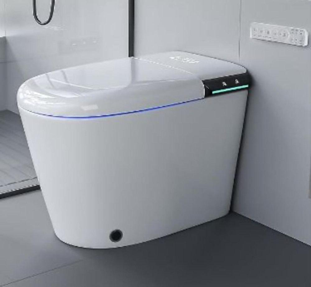 Dual-Flush Water Closet