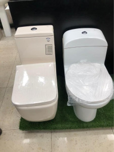 Smart Bidet WC