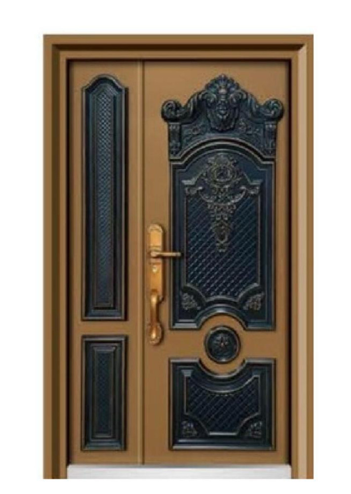 Modern Steel security door