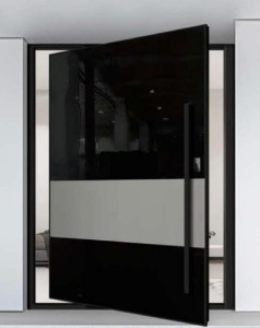 Black and white Pivot door