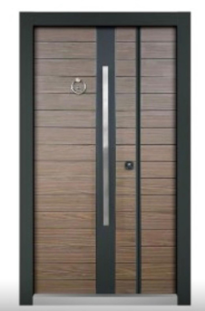 Steel wood Armoured door