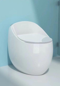 Egg-shaped Toilet