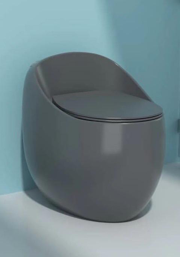 Gray Egg-shaped Toilet