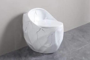 white one-piece toilet