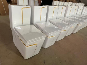 Modern Ceramic one-piece Toilets