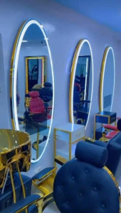 Oval Led Salon Mirror with a gold frame