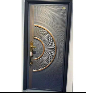 Modern Steel security door