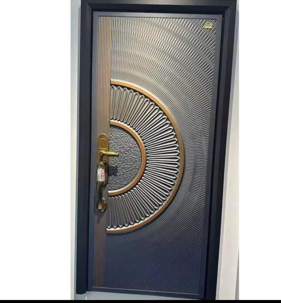 Modern Steel security door