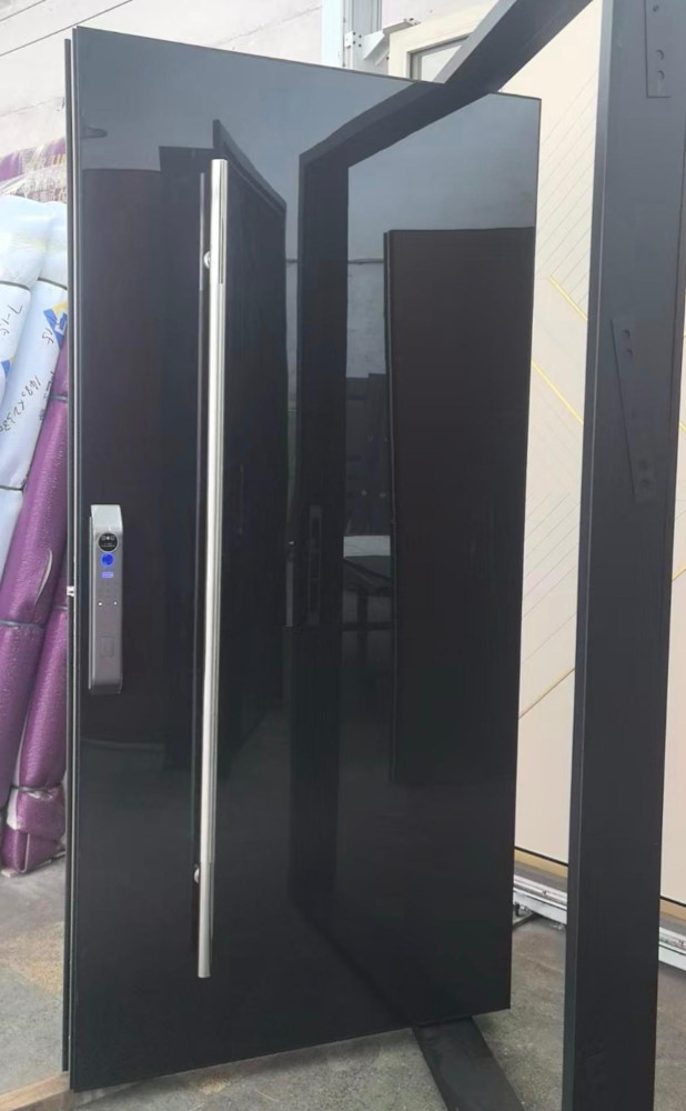 Modern Security Pivot Door