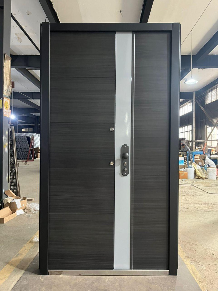 Modern Entrance Security Door