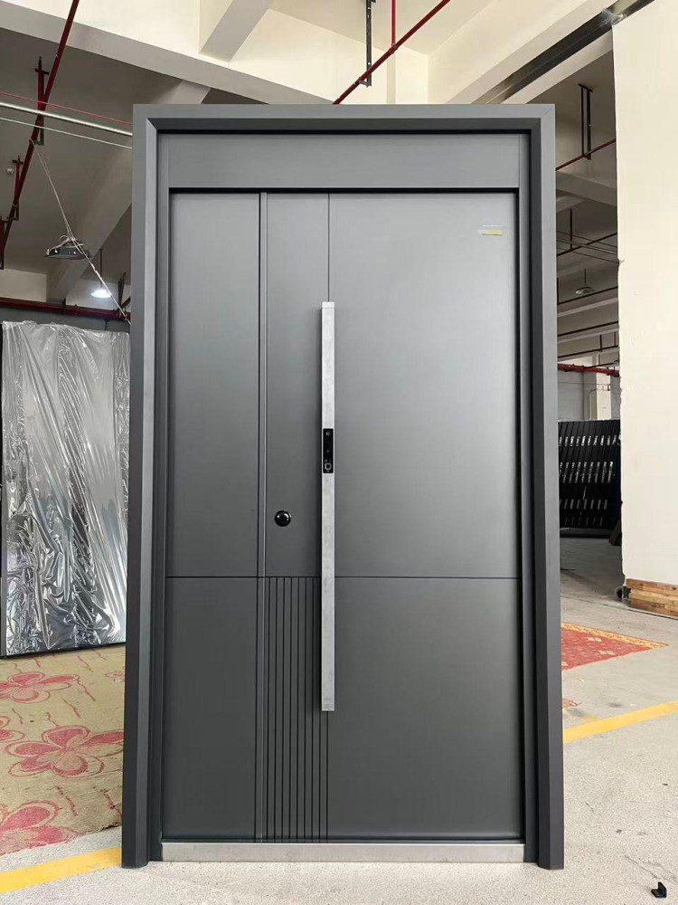 Modern Luxury Steel Security Door