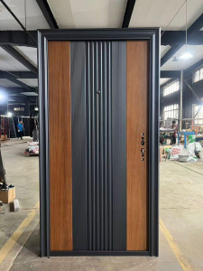 Modern Steel Door