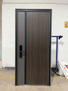 Modern Interior Door