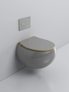 Wall-hung Toilet