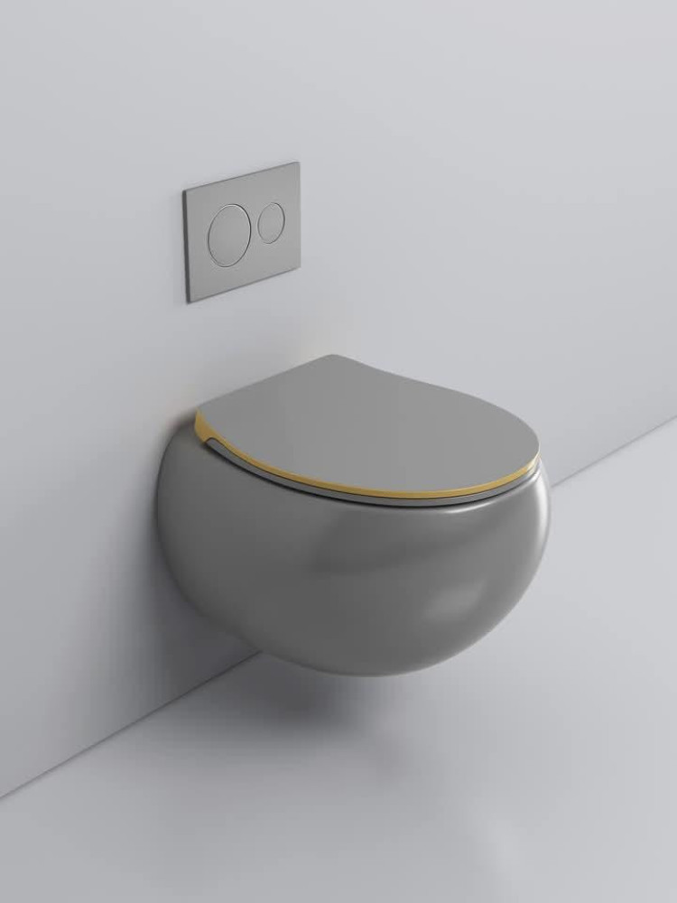 Wall-hung Toilet