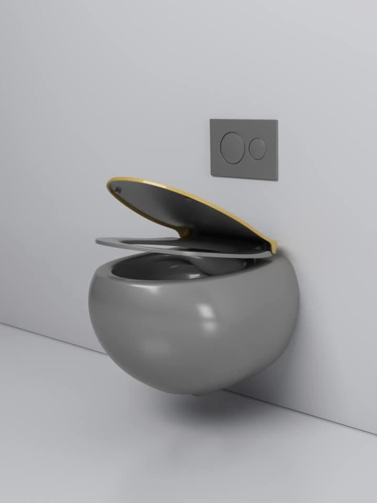 Gray Wal-hung Toilet
