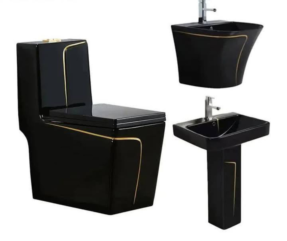 Black and Gold Luxury toilet 