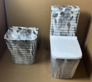 Luxury Water closet and Matching Wall-hung wash hand basin set