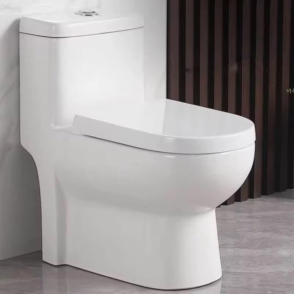 White Modern One-piece Toilet