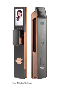 Tecche Smart Door Lock with advanced security features