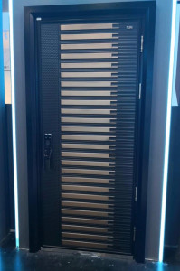 Modern Metal Security Door