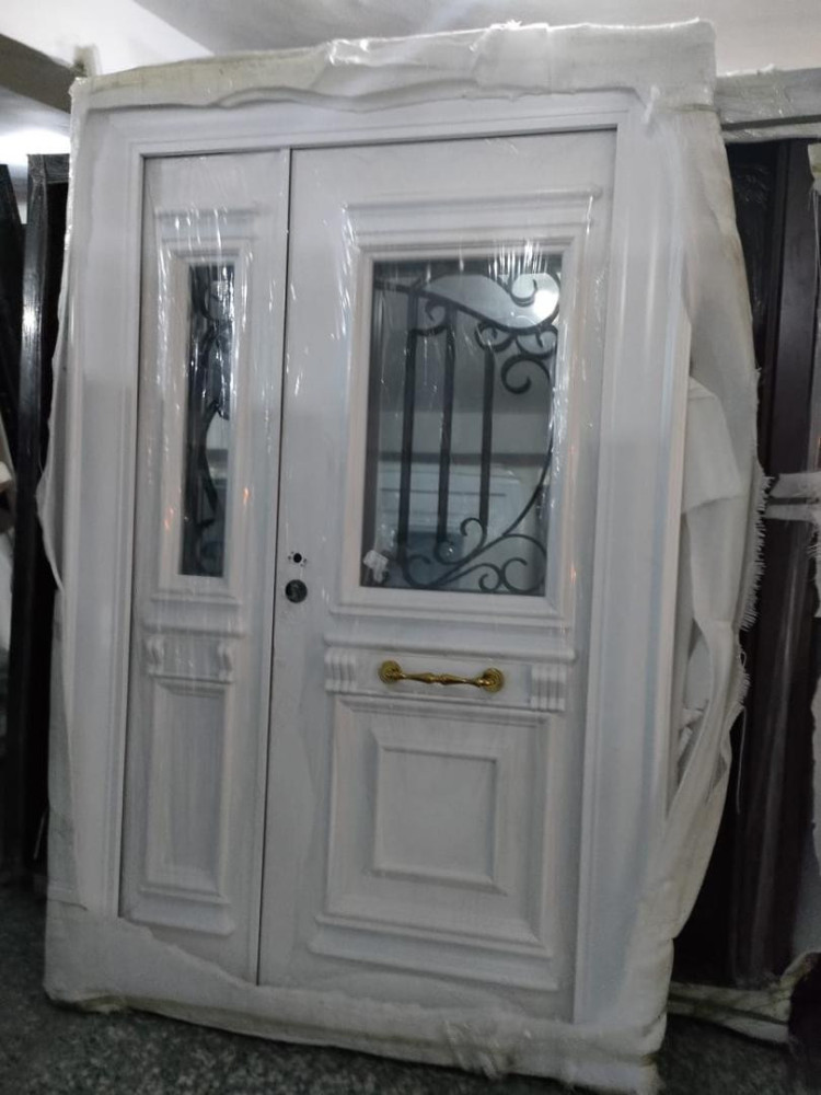 Double Panel Luxury Glass Door