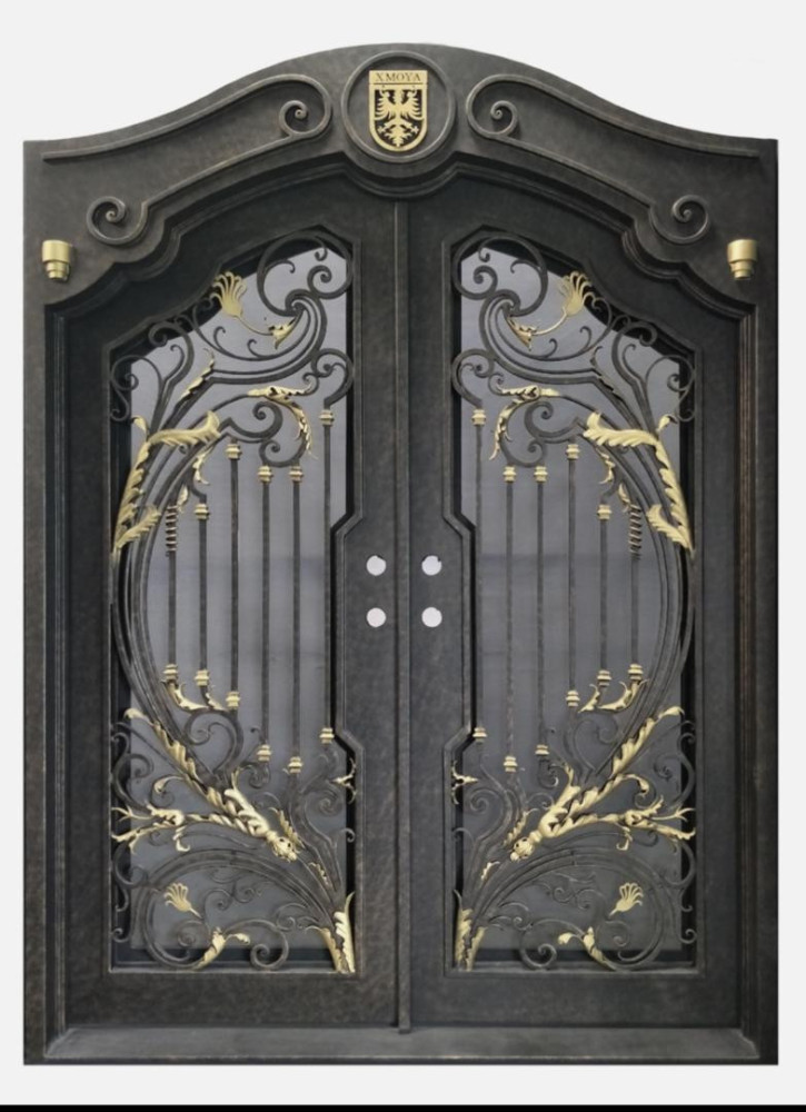 Double Panel Luxury Glass Door