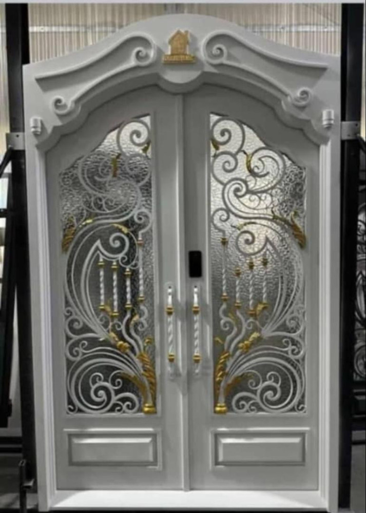 Double Panel Luxury Glass Door