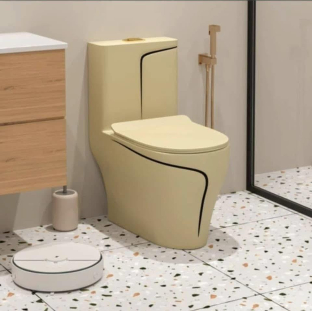 Black Two-piece floor-mounted toilet