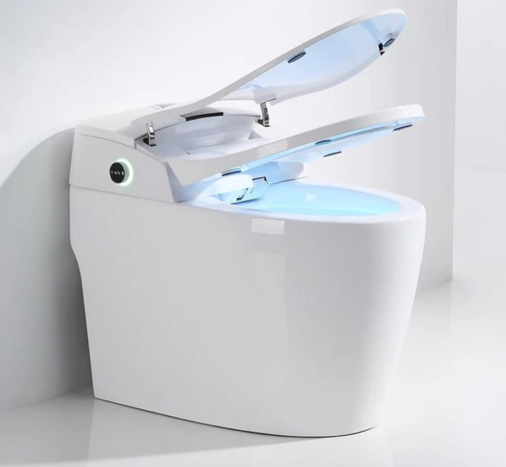 UNIQUE LUXURY ELECTRIC SENSOR WC