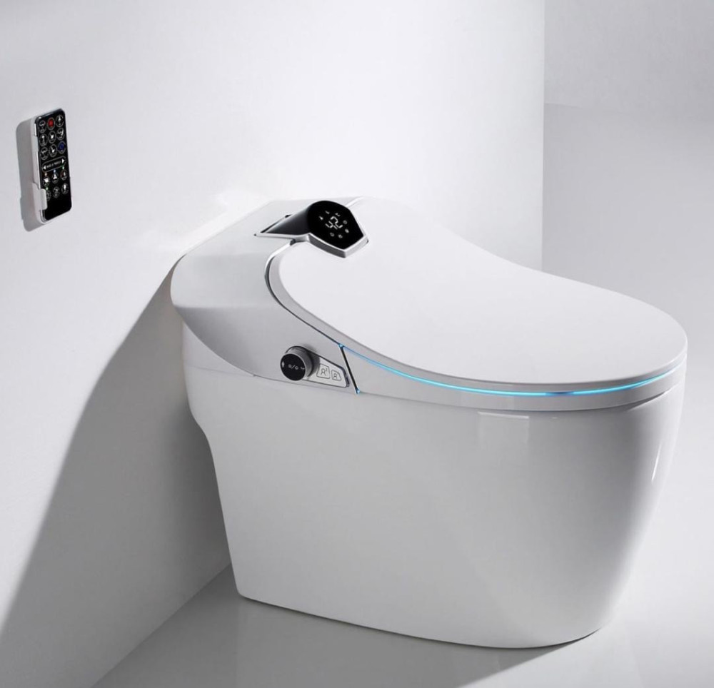 UNIQUE LUXURY ELECTRIC SENSOR WC