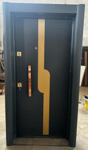 Modern Turkish Security Door
