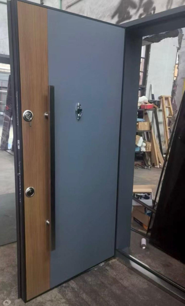 Enhanced Protection Modern Security Door