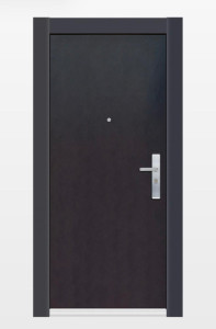Modern Metal Entrance Door
