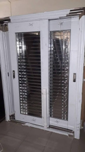 Double Steel Security Door with chrome accents