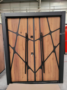 MaxGuard Security Door