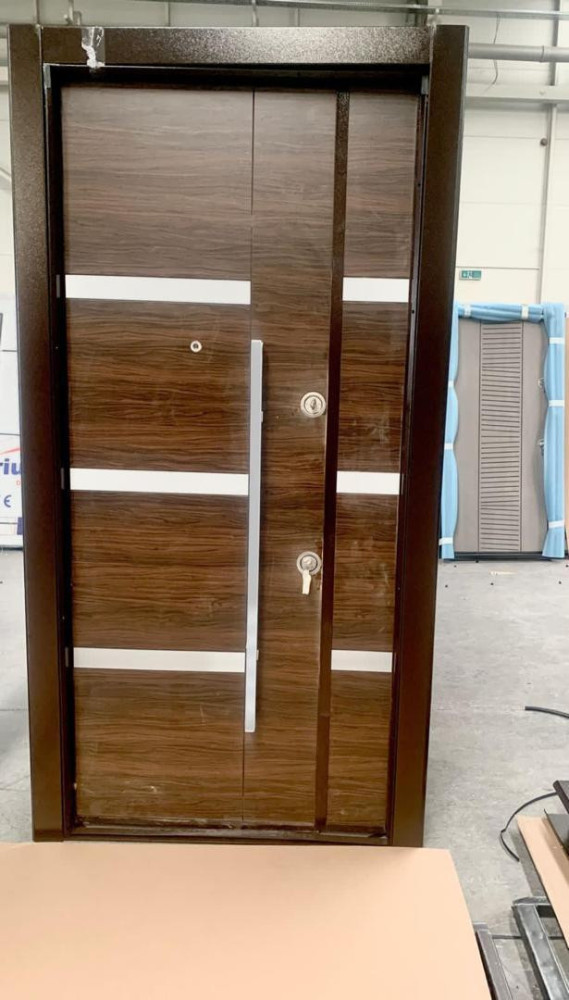 Sentinel Security Door