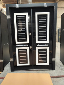Access-Control Security Door