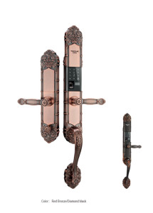 Smart Door Lock with Multiple Entry Methods