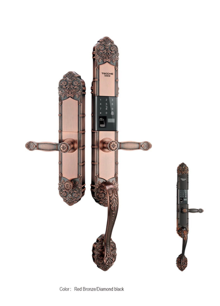 Smart Door Lock with Multiple Entry Methods