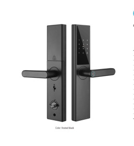 Smart Door Lock or Mechanical key