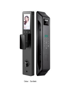 Gun Black Smart Door Lock with ficial recognition